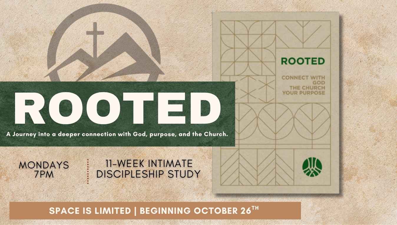 Rooted is Back!
